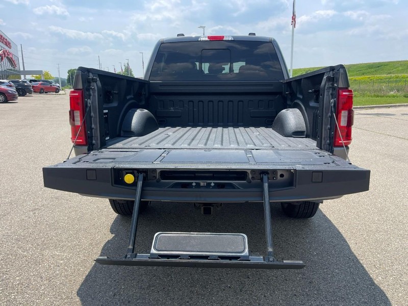 Ford F-150 Vehicle Image 09