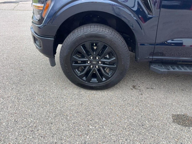 Ford F-150 Vehicle Image 07