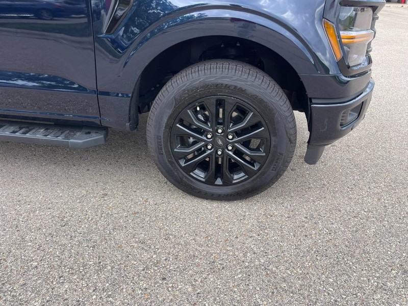 Ford F-150 Vehicle Image 08