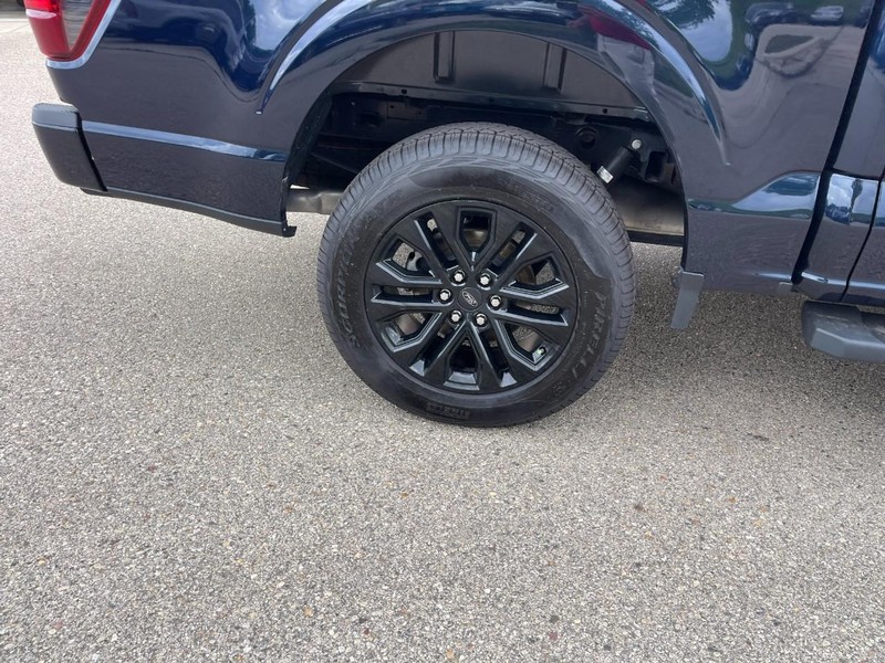 Ford F-150 Vehicle Image 09