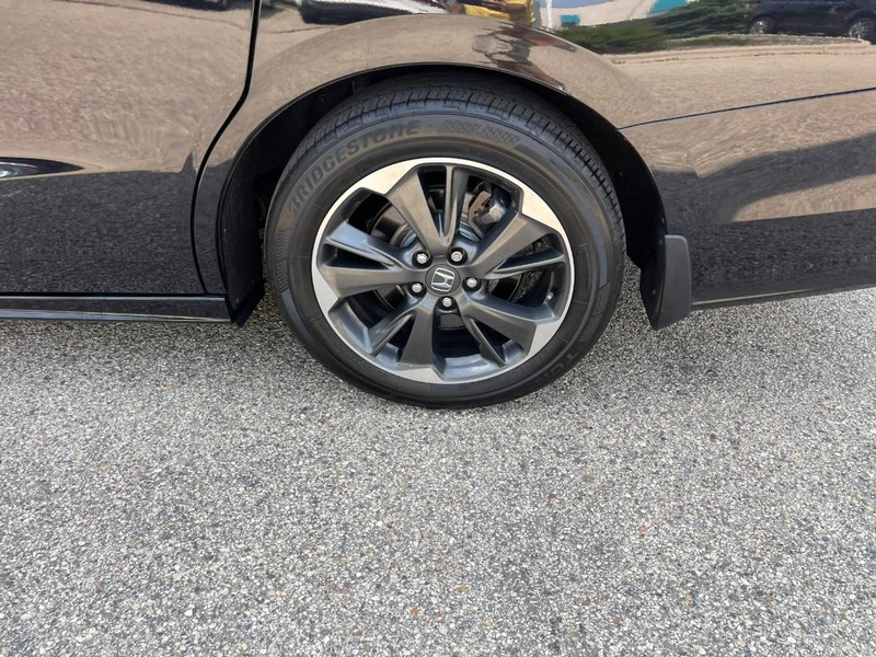 Honda Odyssey Vehicle Image 05