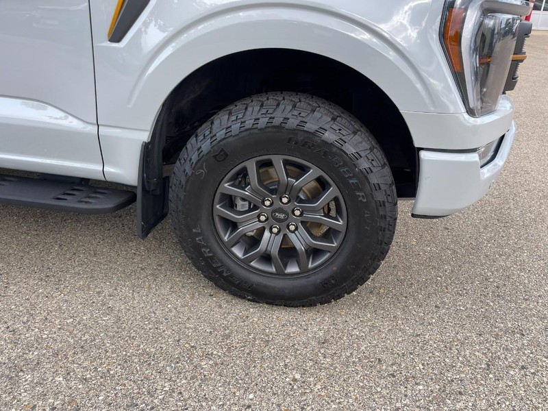 Ford F-150 Vehicle Image 08
