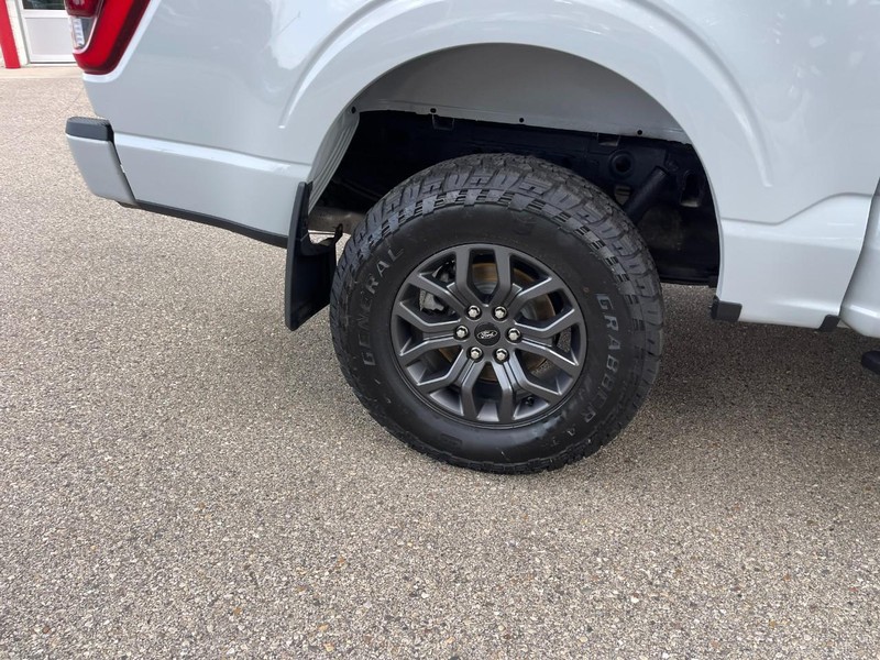 Ford F-150 Vehicle Image 09