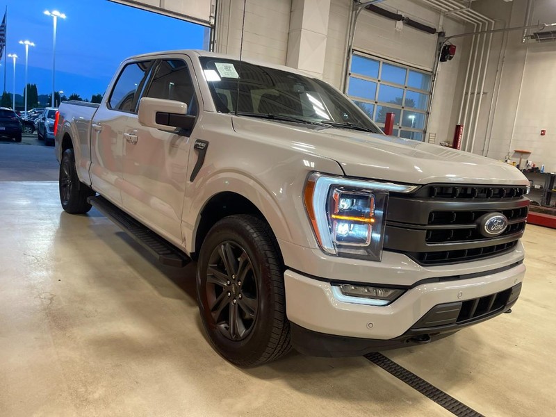 Ford F-150 Vehicle Image 02