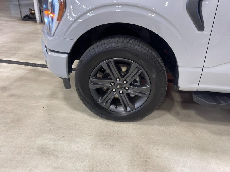 Ford F-150 Vehicle Image 07