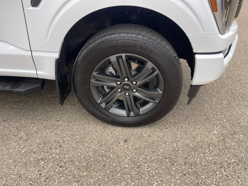 Ford F-150 Vehicle Image 08