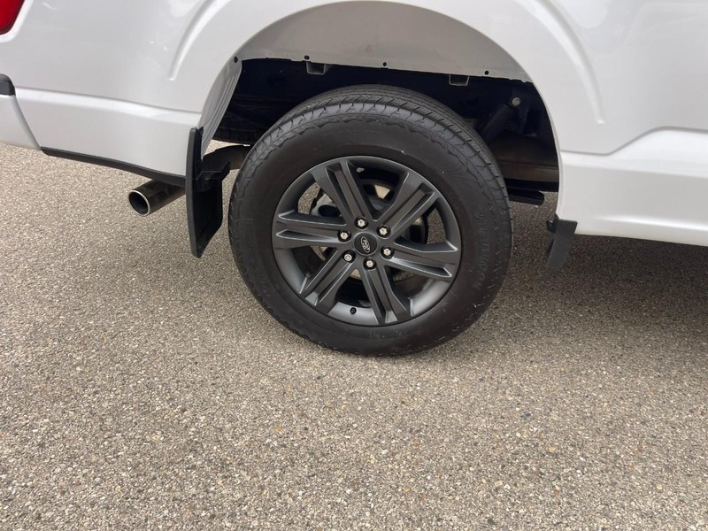 Ford F-150 Vehicle Image 09