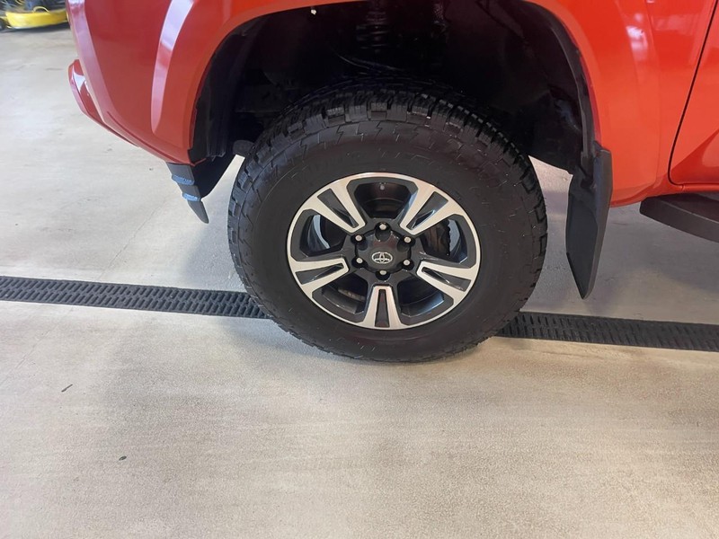 Toyota Tacoma Vehicle Image 06
