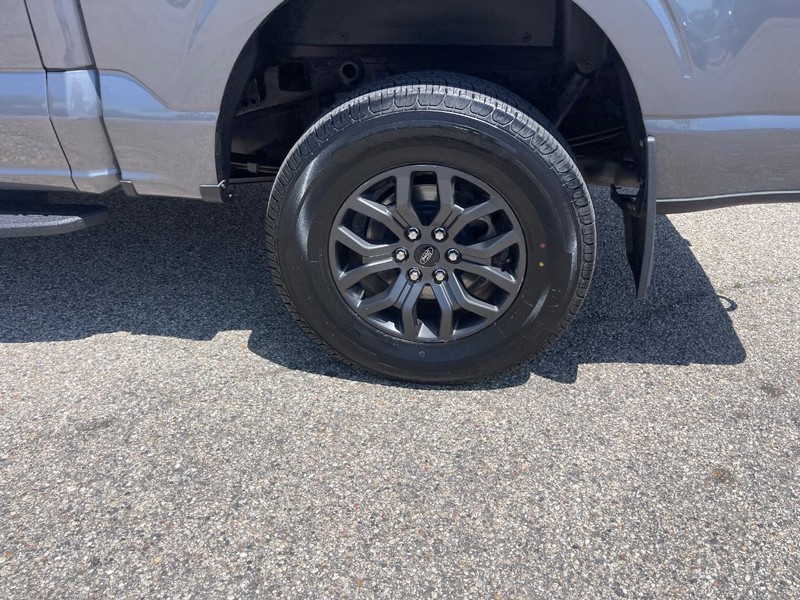 Ford F-150 Vehicle Image 08