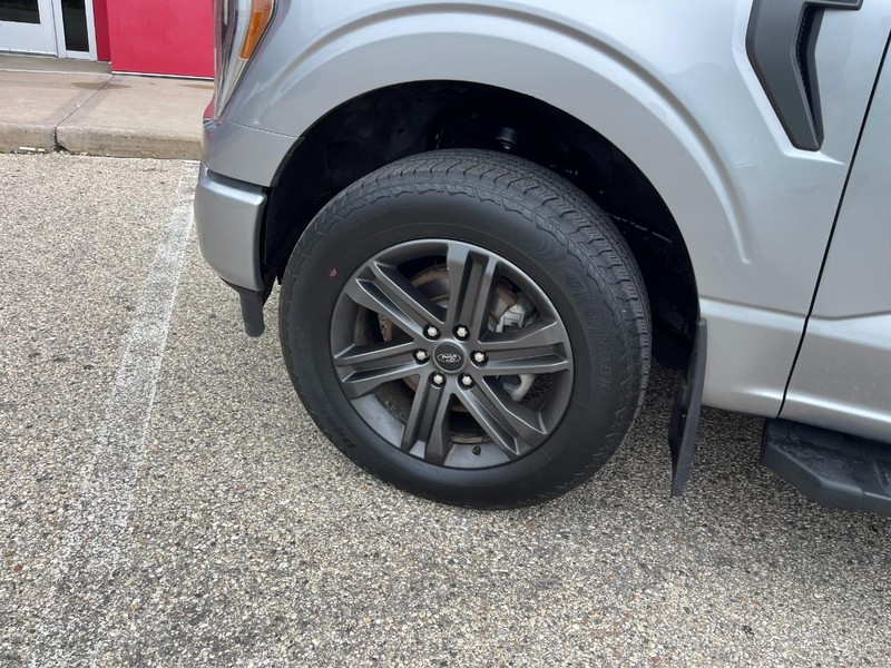 Ford F-150 Vehicle Image 06