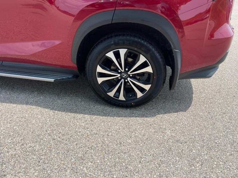 Lexus NX Vehicle Image 05