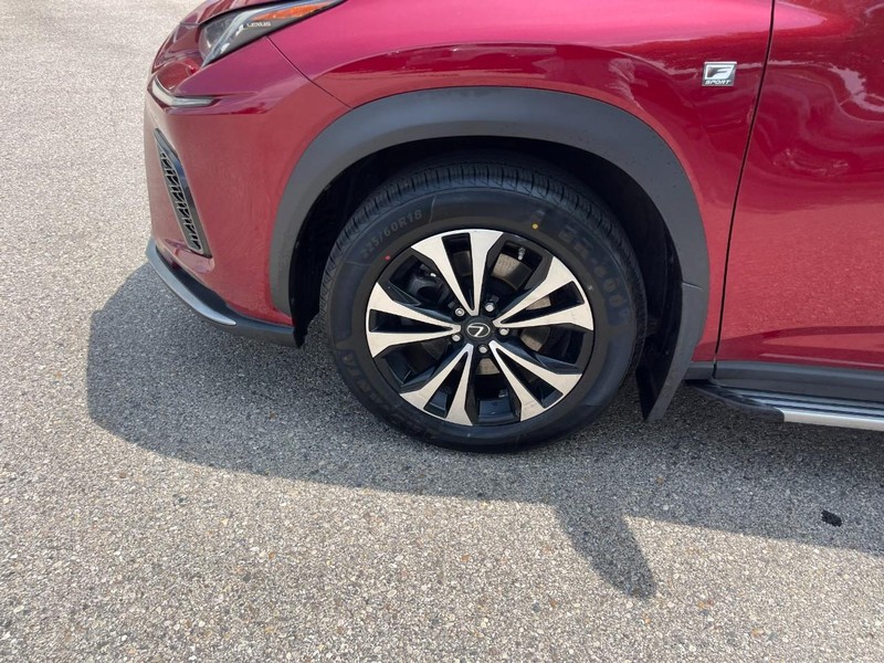Lexus NX Vehicle Image 06