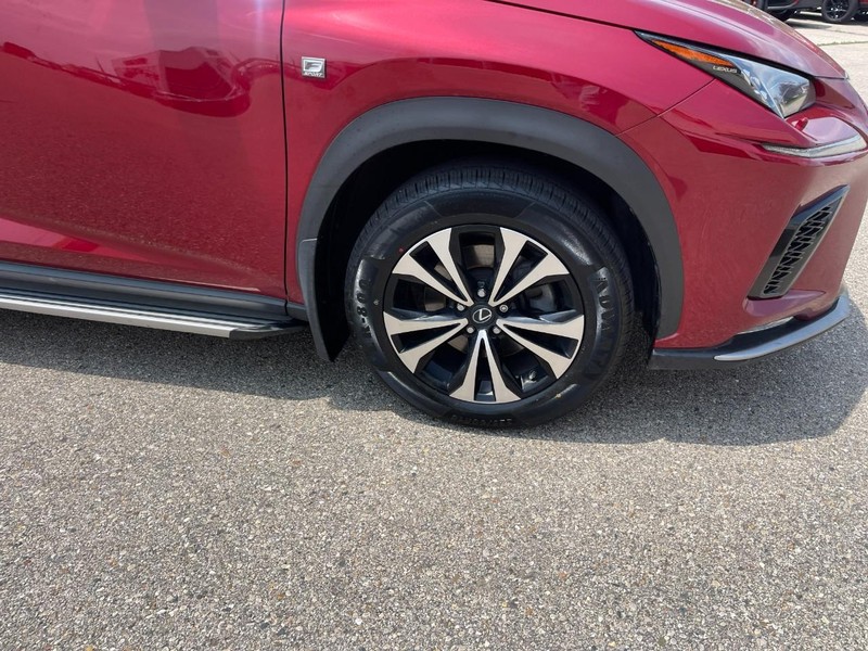 Lexus NX Vehicle Image 07