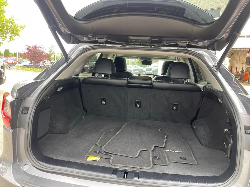 Lexus RX 350 Vehicle Image 14