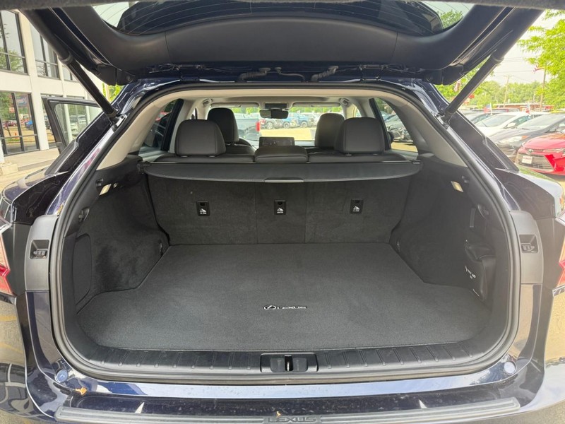Lexus RX Vehicle Image 14
