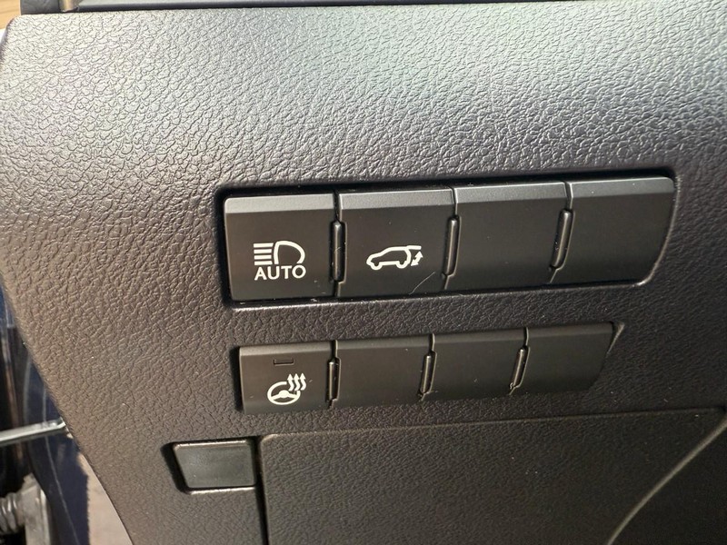 Lexus RX Vehicle Image 24