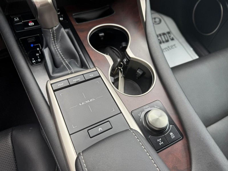 Lexus RX Vehicle Image 33