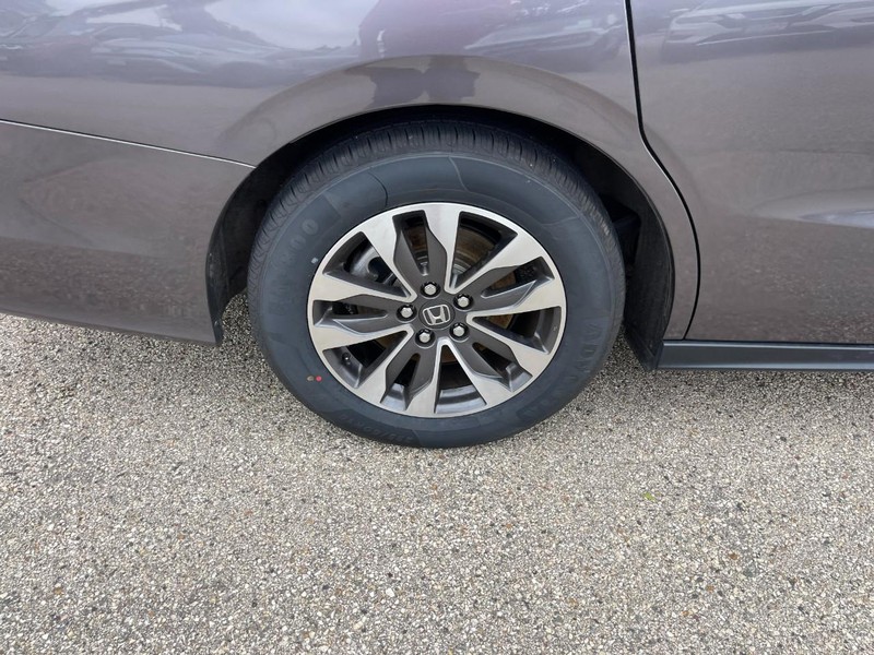 Honda Odyssey Vehicle Image 07