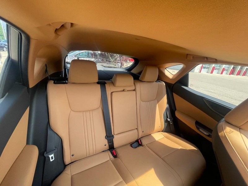 Lexus NX Vehicle Image 05