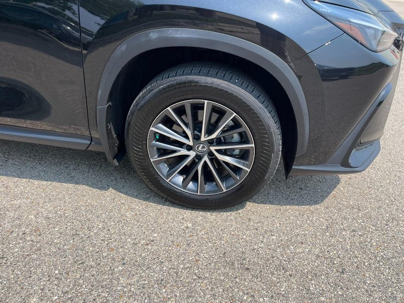 Lexus NX Vehicle Image 07