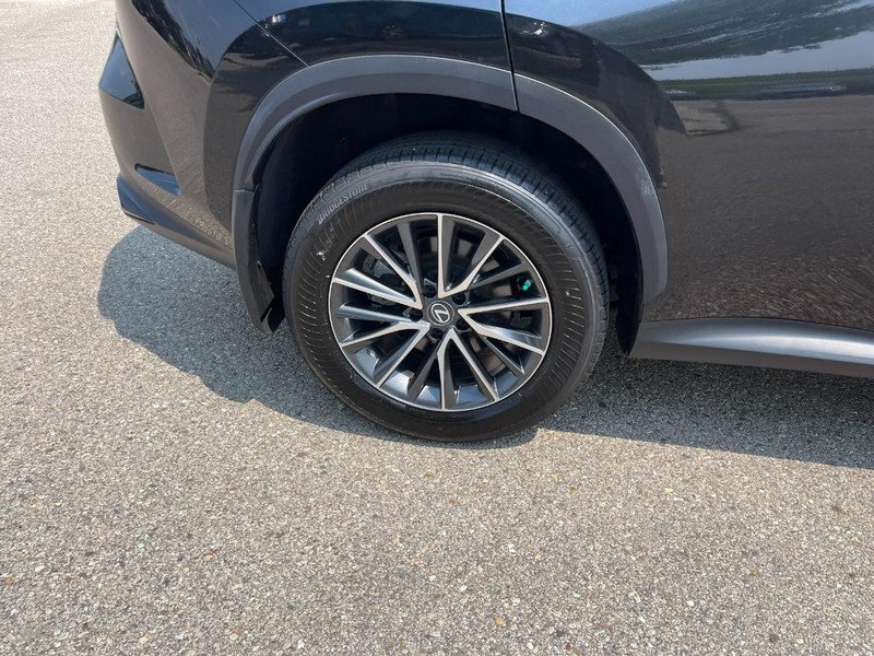 Lexus NX Vehicle Image 08
