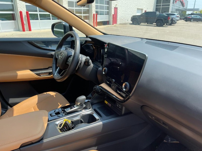 Lexus NX Vehicle Image 09