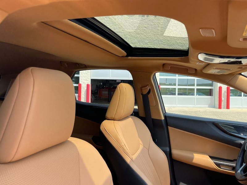 Lexus NX Vehicle Image 10