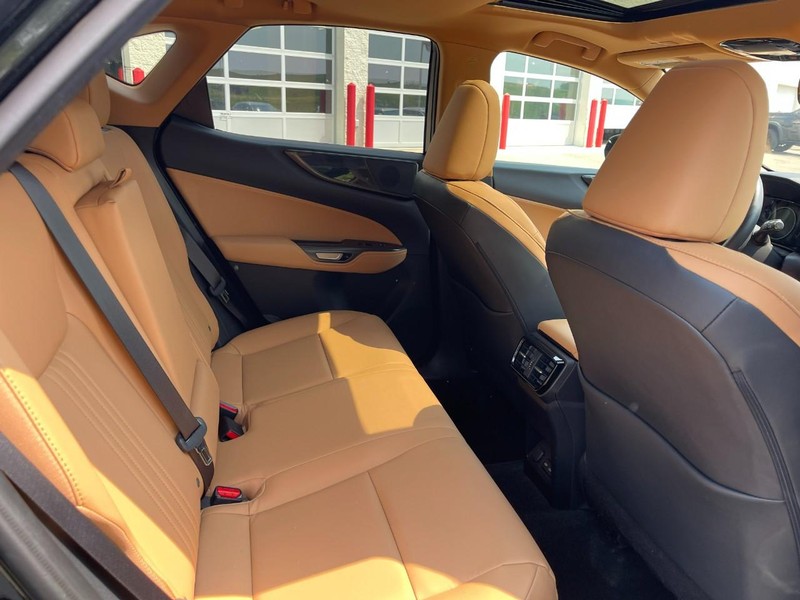 Lexus NX Vehicle Image 14