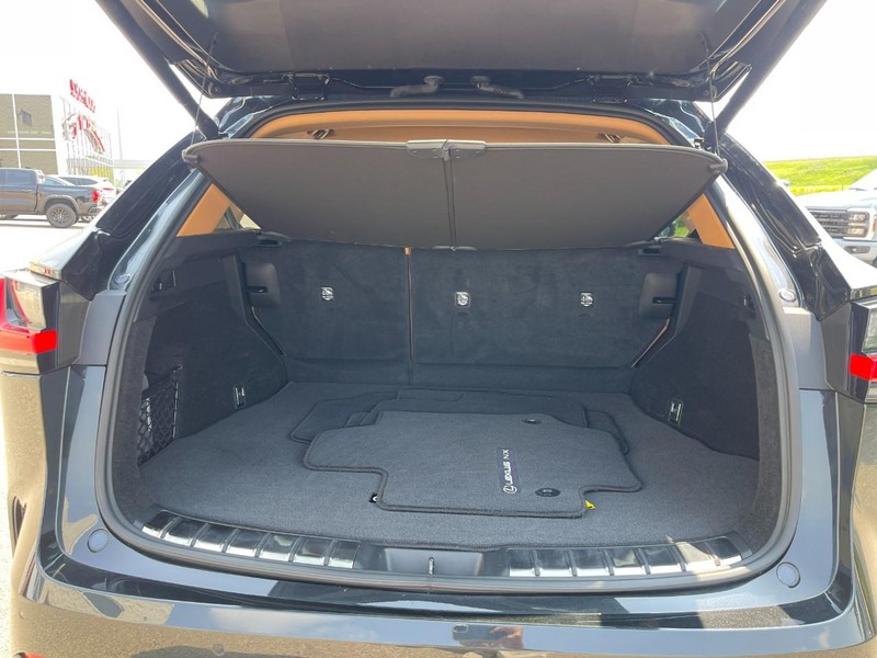 Lexus NX Vehicle Image 17