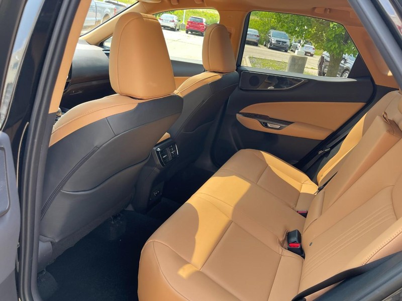 Lexus NX Vehicle Image 19