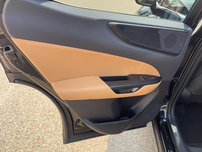 Lexus NX Vehicle Image 20