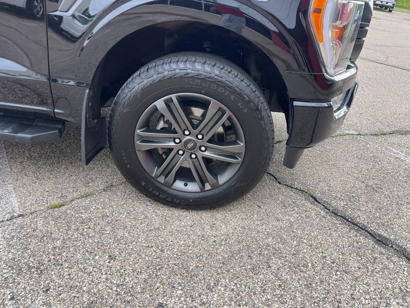 Ford F-150 Vehicle Image 07