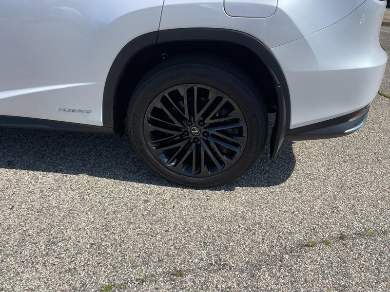 Lexus RX Vehicle Image 05