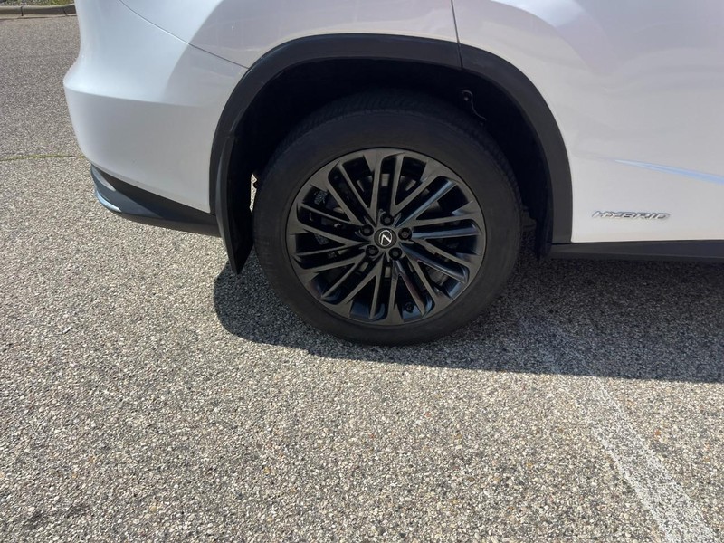 Lexus RX Vehicle Image 08