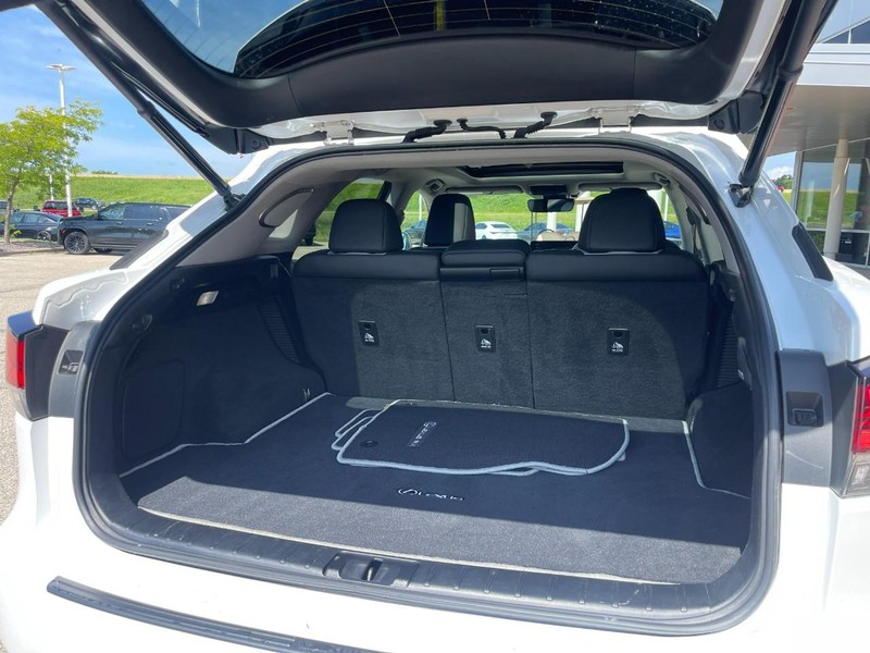 Lexus RX Vehicle Image 17