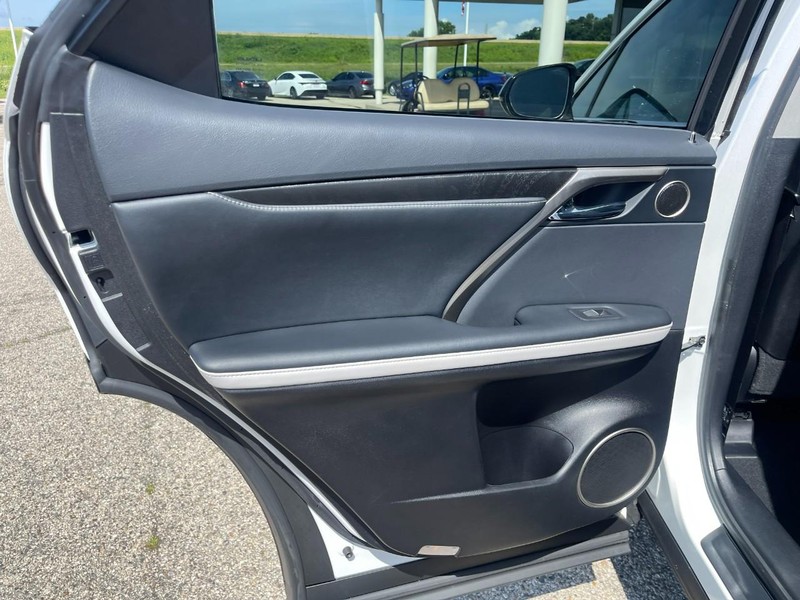 Lexus RX Vehicle Image 20