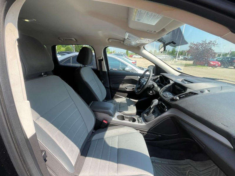 Ford Escape Vehicle Image 03