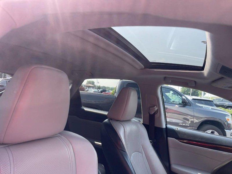 Lexus RX Vehicle Image 10