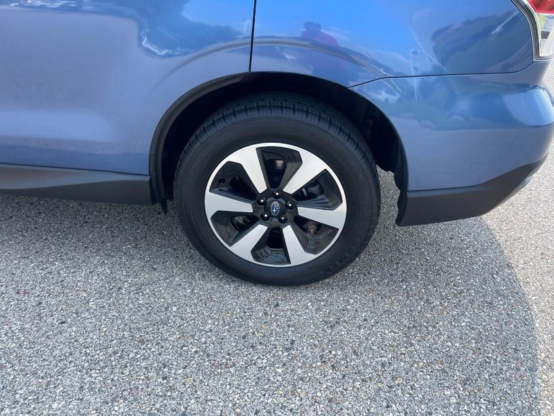 Subaru Forester Vehicle Image 06