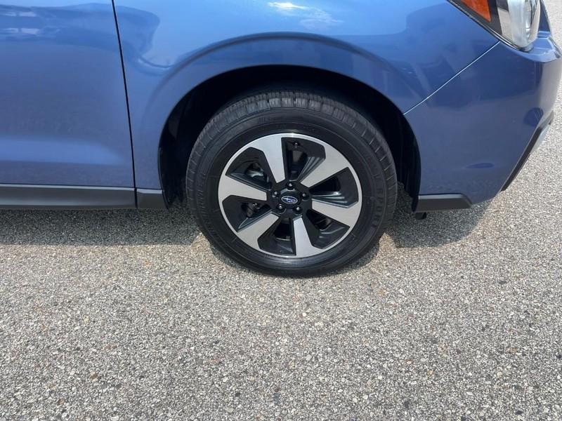 Subaru Forester Vehicle Image 08