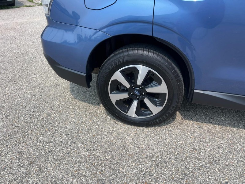 Subaru Forester Vehicle Image 09
