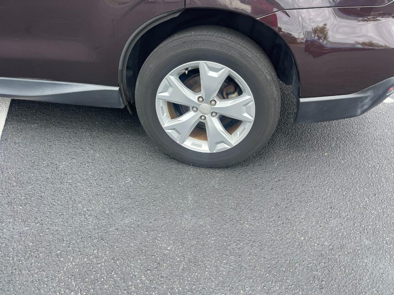 Subaru Forester Vehicle Image 07