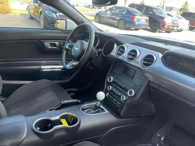 Ford Mustang Vehicle Image 09