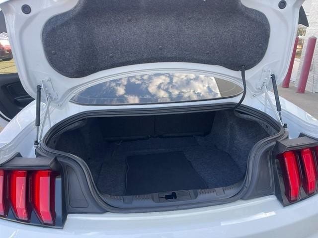 Ford Mustang Vehicle Image 14