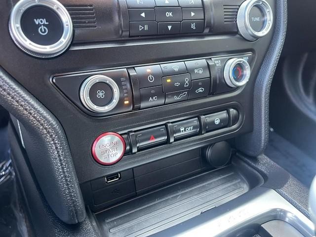 Ford Mustang Vehicle Image 22