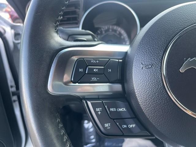 Ford Mustang Vehicle Image 23