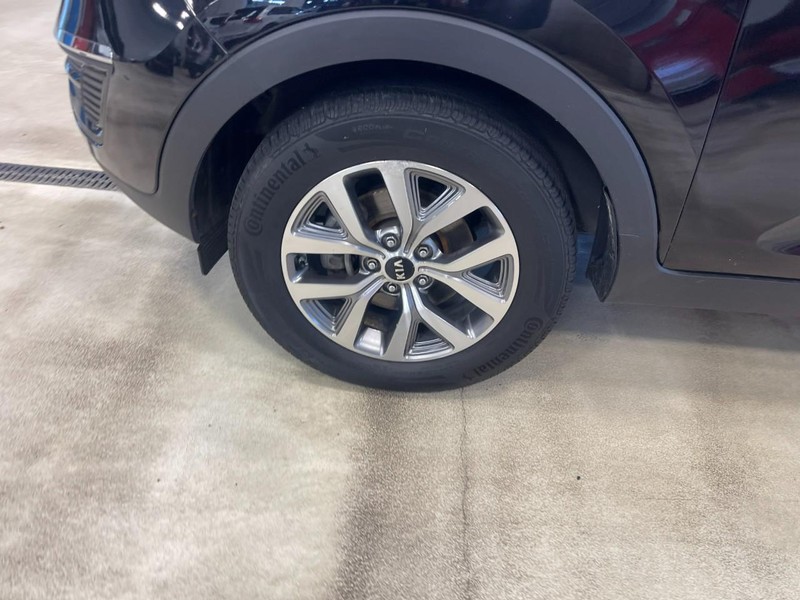 Kia Sportage Vehicle Image 06