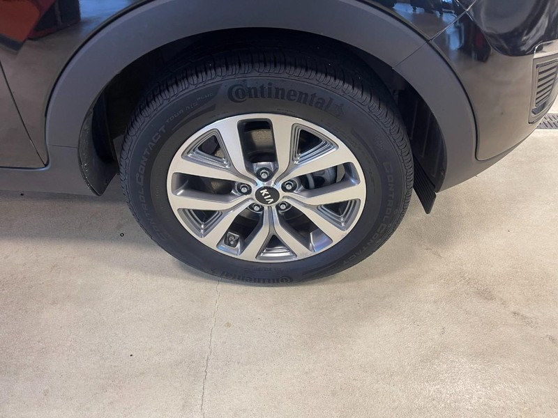 Kia Sportage Vehicle Image 07