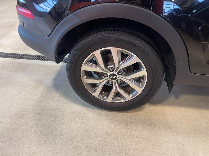 Kia Sportage Vehicle Image 08