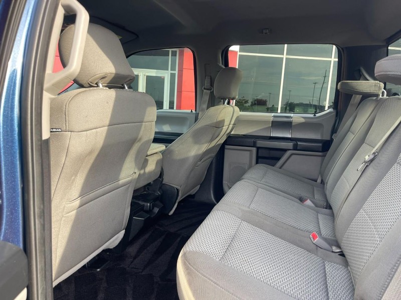Ford F-150 Vehicle Image 12